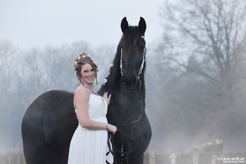 sylvana-de-bruin-dieren-fotografie-en-video-paarden-honden-katten (23)